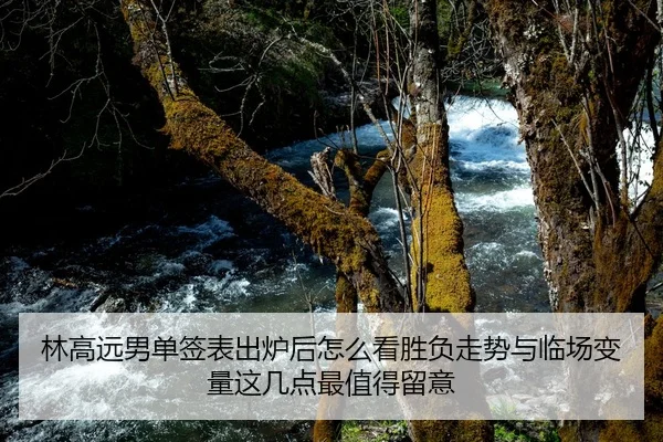 林高远男单签表出炉后怎么看胜负走势与临场变量这几点最值得留意